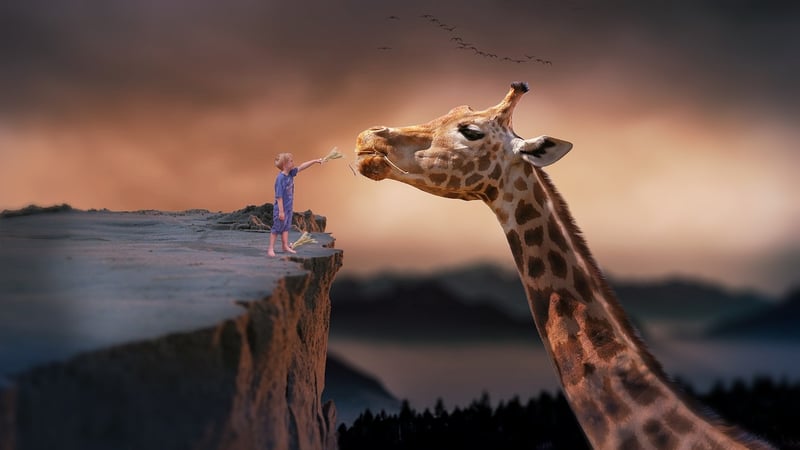 Imaginative Concepts